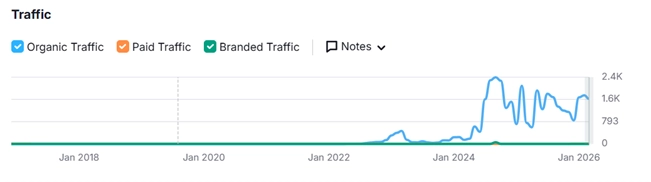 Website Traffic Growth Chart