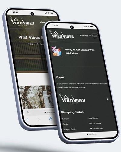 Mobile Interface Preview